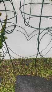 GARDEN - Plant topiary frames - 5