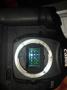 Canon 1D mklll as new 10,000 shots with two batt charger inc $355 ono.