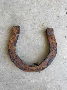 Large horseshoe