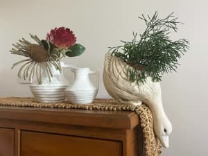 PLANTERS/JUGS (Plant not included)