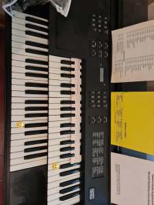 Free, Lowrey Genius G200 organ, 2 keys not working