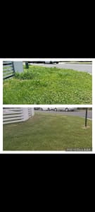 Lawn mowing and trim, rubbish removal lawn care