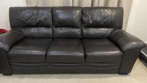 2 and 3 seater leather couches in chocolate