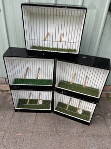 Budgie Show Cages