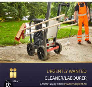 Labour/cleaner