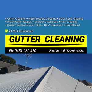 ✅️Gutter Cleaning Services