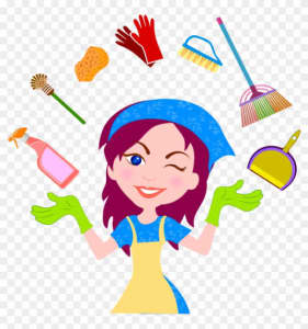Domestic Cleaning Services 💫