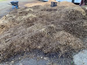 Free horse stable manure