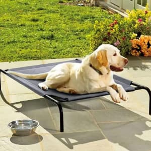 Elevated Dog Bed Portable Raised Pet Cot Platform