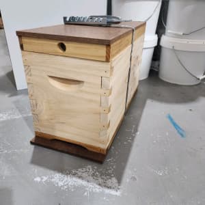 5F Nuc Beehive with 5 wired frames and 1 em lock