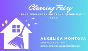 Professional cleaner / CLEANING 