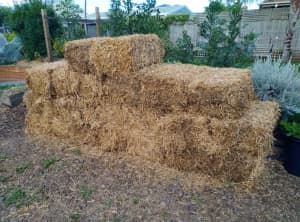 PEA STRAW BALES**FREE DELIVERY**MELBOURNE (MOST suburbs)