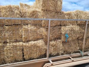 Oat straw small bales