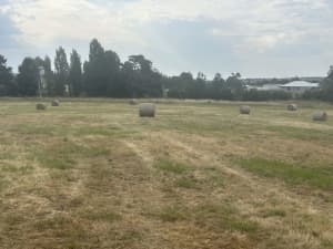 Meadow Hay Round Bales