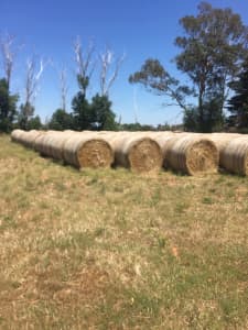 Hay for Sale 