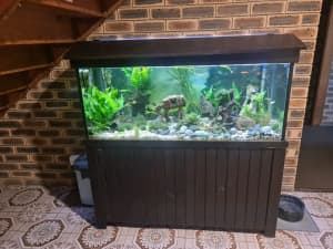 4ft fish tank, stand, light and pump