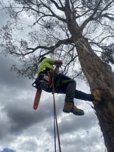 INTEGRITY TREE SERVICES 