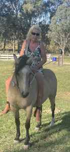 Buckskin mare Amber rising 9