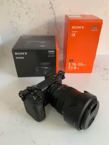 Sony A6600 Mirrorless Camera Sony 16-55mm F2.8 G-Master