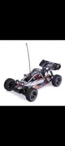 1/10 2.4GHZ BRAND NEW 4WD BRUSHLESS OFF ROAD WATERPROOF BAJA BUGGY