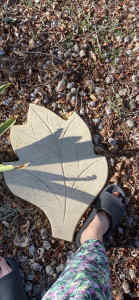 Large leaf stepping stones , six left $5 each