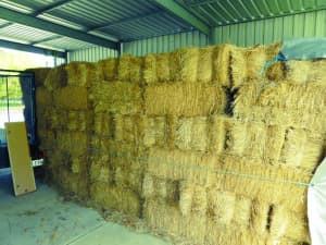 Small meadow hay bales