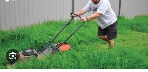 Lawn Mowing & Gardeners Labourer 