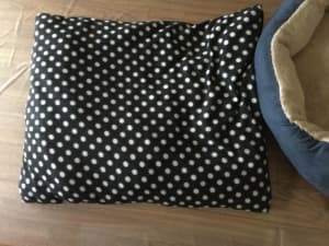 XL dog bed and Cushion