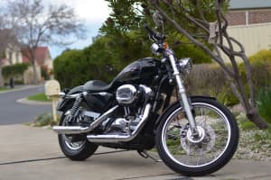 Harley Davidson sporster 1200 custom