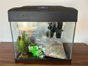 20Ltr Fish Tank and Accessories