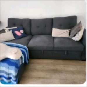 2 seater lounge with chaise