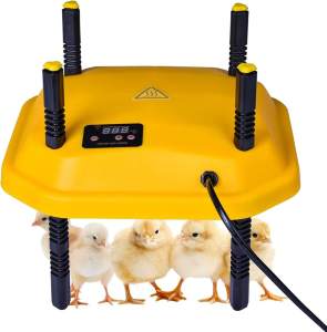Brooder heating plate for chicks / ducklings , goslings and other poul
