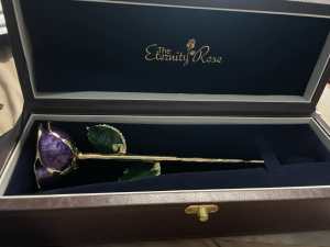 Purple eternity rose