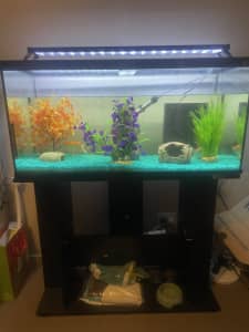 Fully set up fish tank