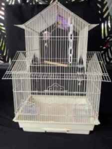 $50 if pickup Today Bird cage - like new