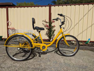 7 Speed Yellow Adult Tricycle with rear Basket