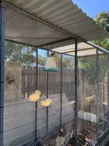 Large Aviary for sale at Canning Vale