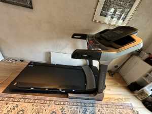 Viper treadmill