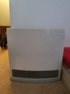 Rinnai Enduro13 gas heater