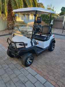 2022 2 Seater Golf Cart