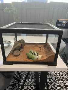 Lizard tank for sale, accessories included as seen in the photo.