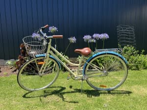 Girls/Ladies 39cm (frame stem) Bike