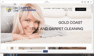 Carpet and Tile Cleaning WEBSITE for your Business $5500