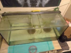BARGAIN 3ft Glass Fish tanks With lids