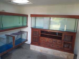 Aquariums: 5 available as either a lot or sold separately