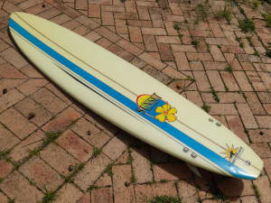 Malibu Surfboard 