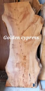 Golden cypress slab