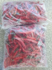 Home Grown Hot Baby Chillies