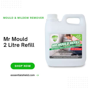 Mr Mould 2 Litre Refill - Mould Removal