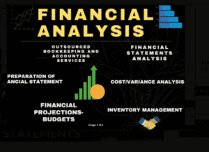 ACCOUNTING PLAN ECONOMICS BUSINESS COST MANAGEMENT FINANCE